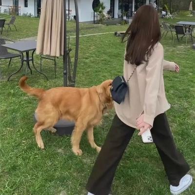码头风云